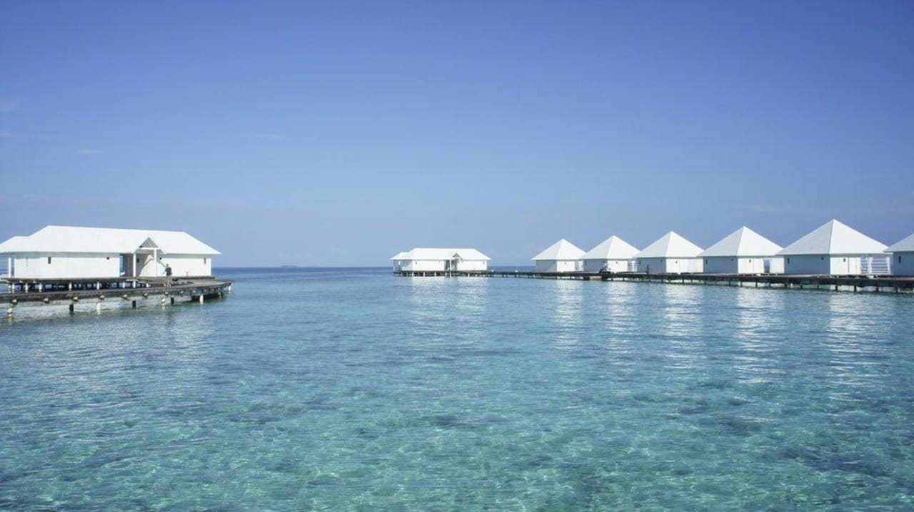 Wasserbungis ananea Diamonds Athuruga