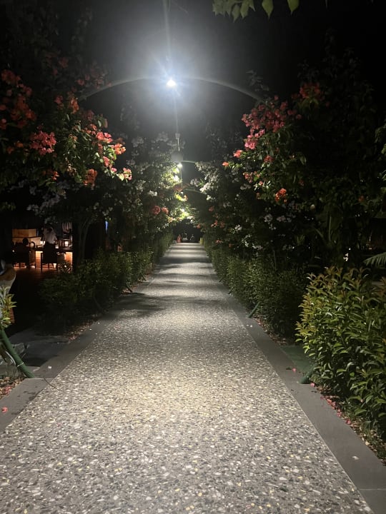 Gartenanlage Rubi Platinum Sign