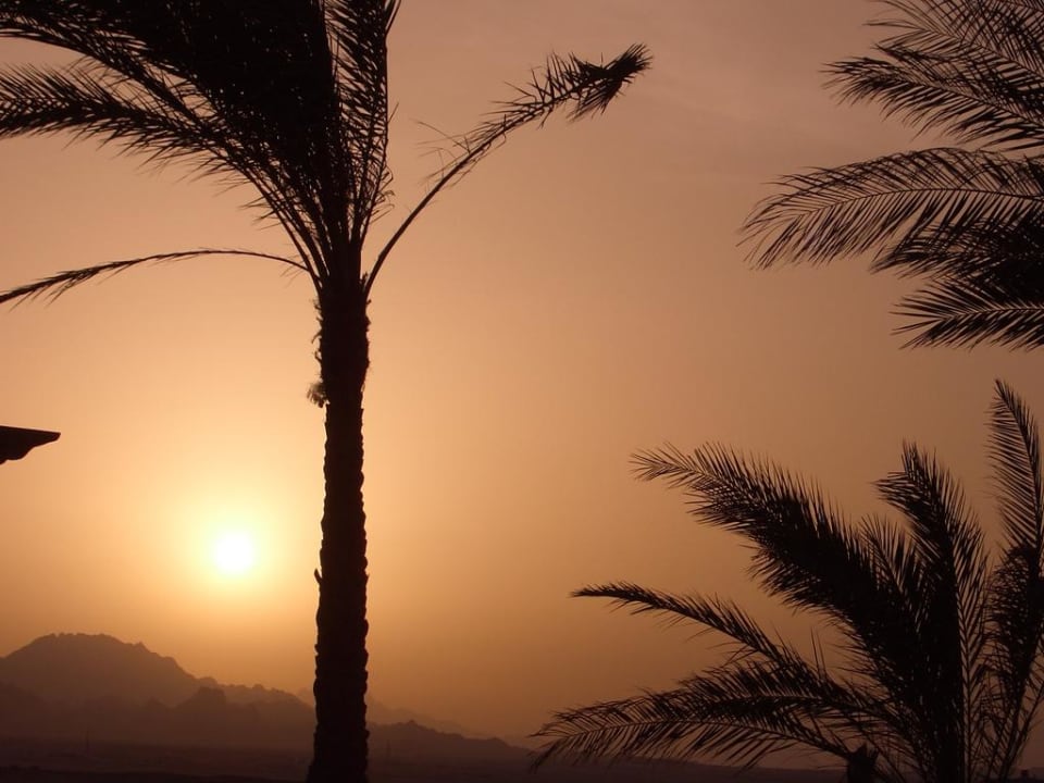 Sonnenuntergang hinter dem Hotel Shams Prestige Abu Soma-Adults Only