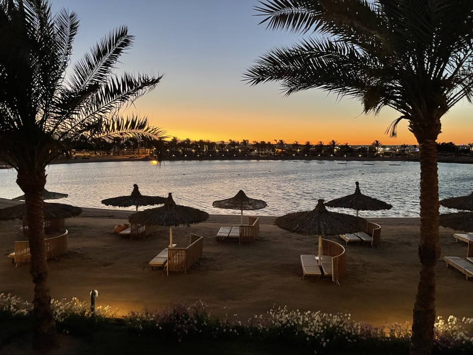 Ausblick Desert Rose