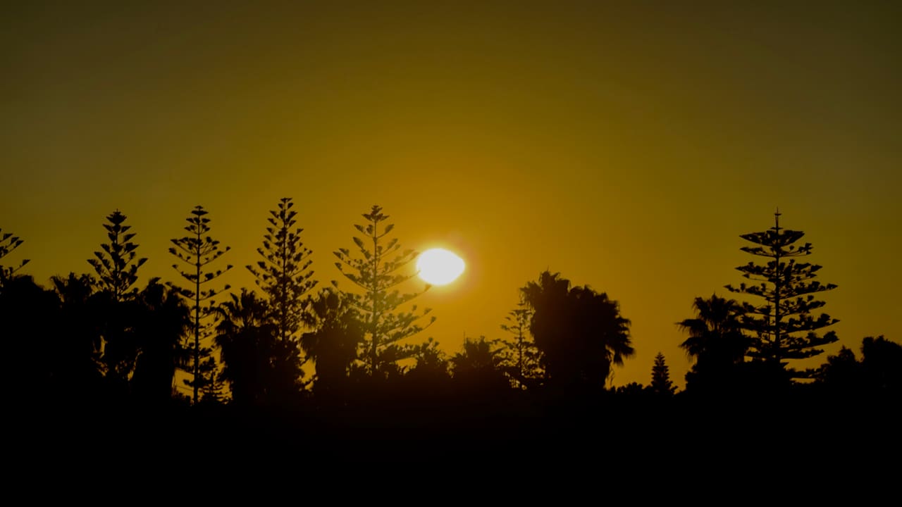 Ausblick Gaia Garden Hotel