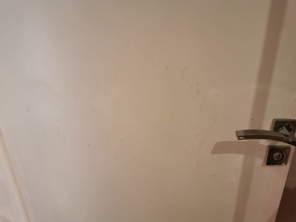 Zimmer Royal Star Beach Resort