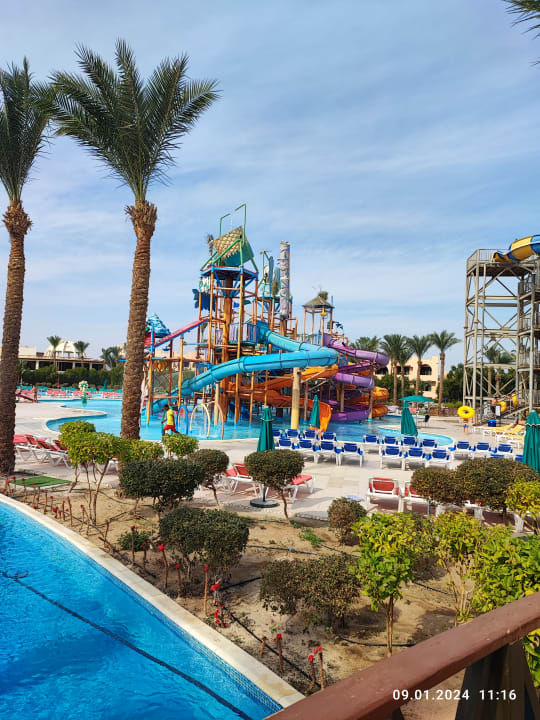 Sport & Freizeit Calimera Blend Paradise