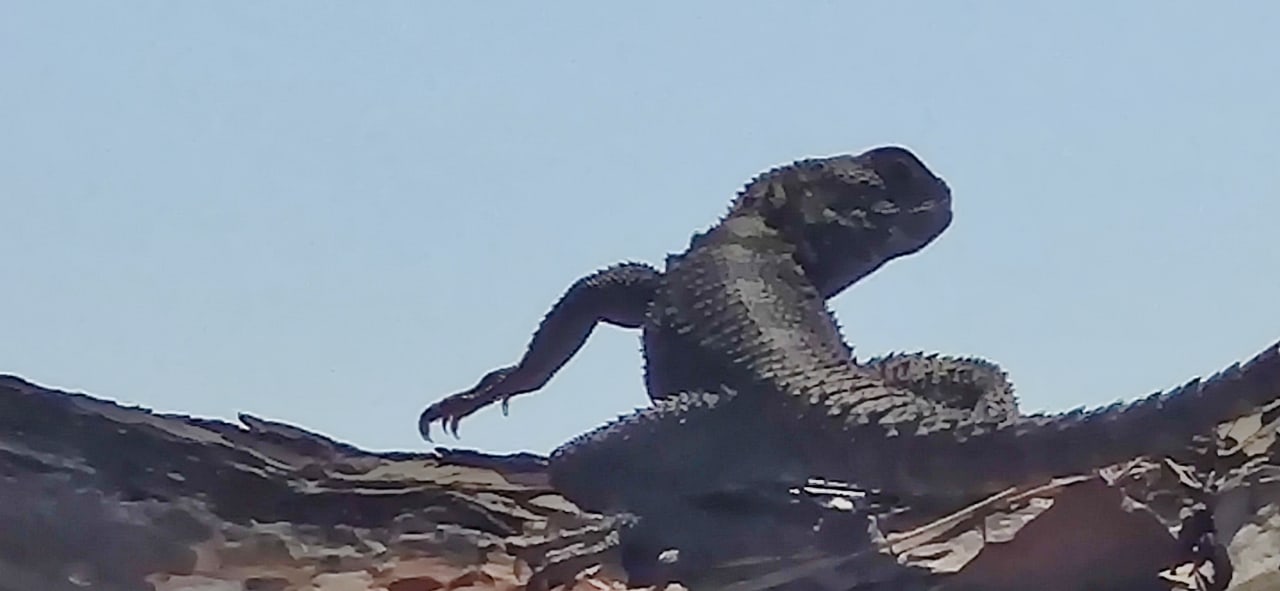 Strand Rodos Princess Beach Hotel & Spa