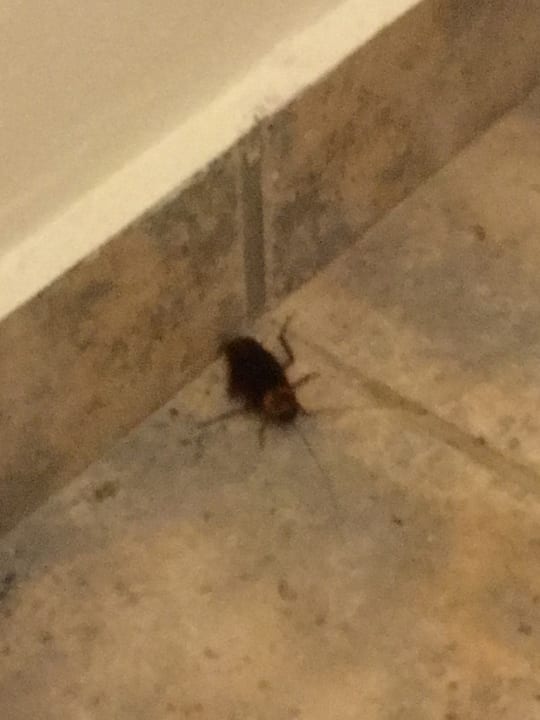 Zimmer Lindos Princess Beach Resort & Spa