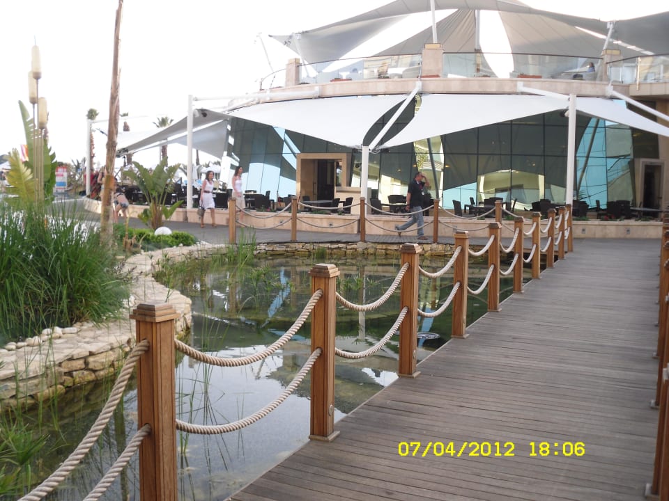 Kleine Teiche am Restaurant Paloma Pasha