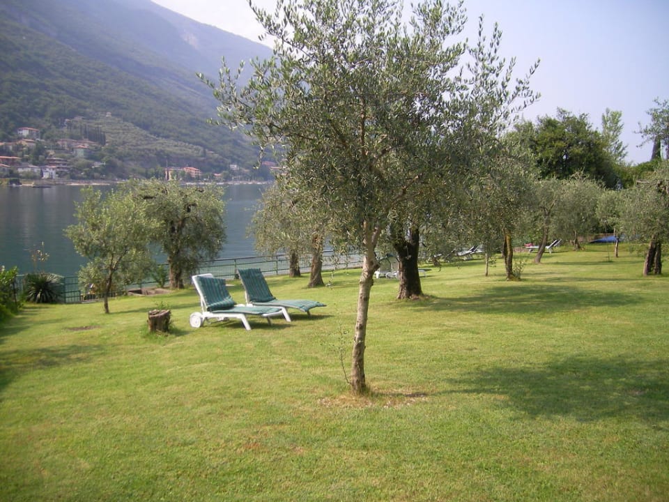 Blick von der Terrasse auf den Zugang zum See Hotel Maximilian