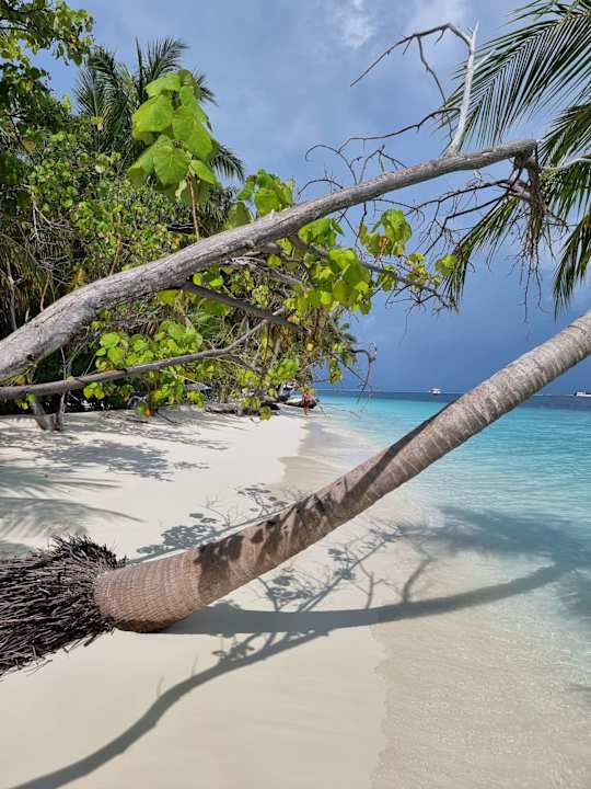 Strand Vilamendhoo Island Resort & Spa