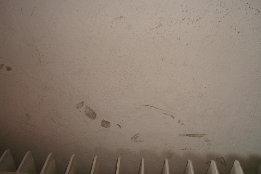 Wand im Flur Residence Montani