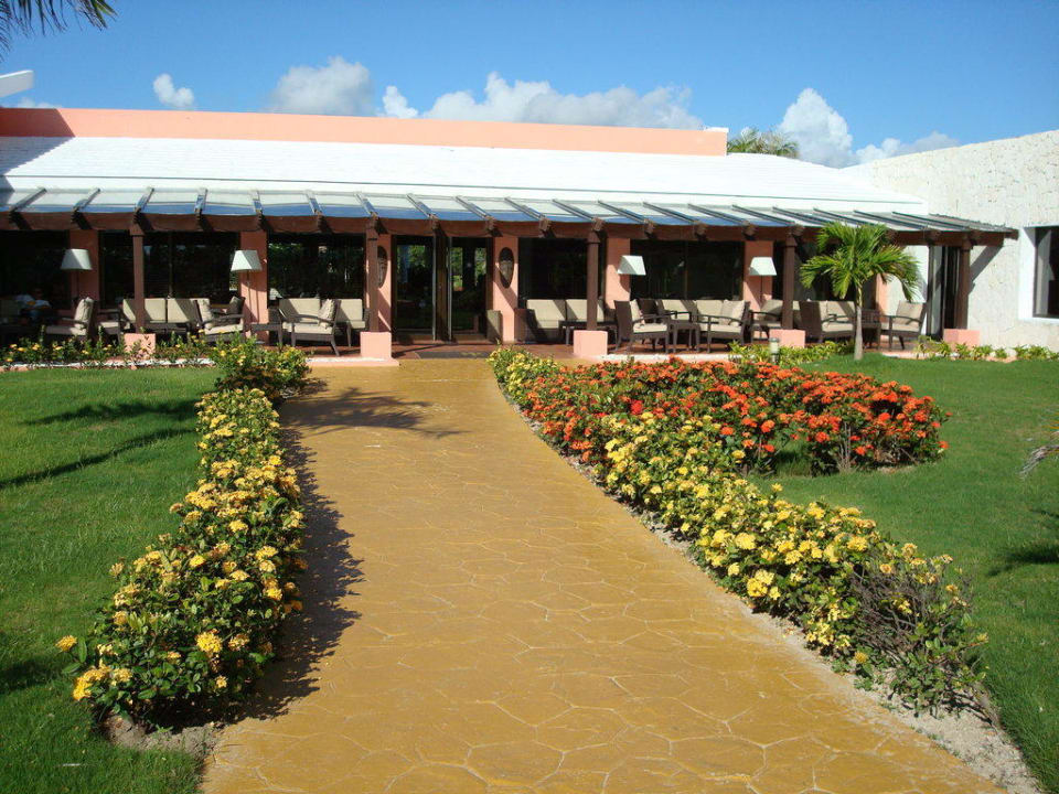 Terrasse Piano Bar Catalonia Royal Bavaro - Adults only