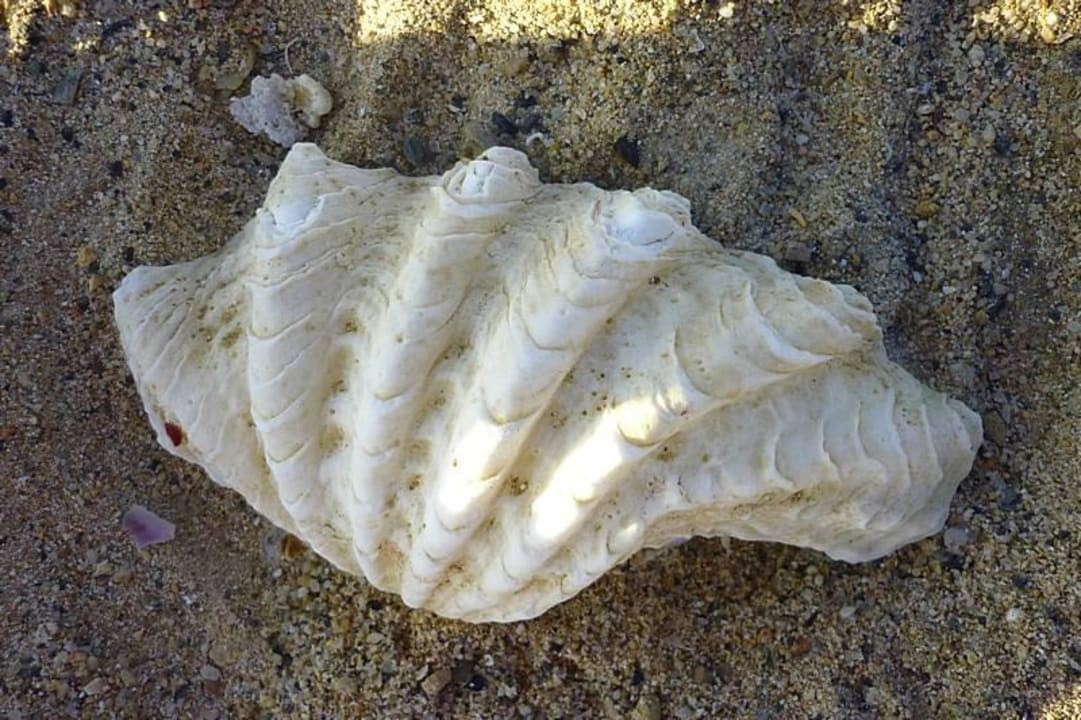 Spacer Three Corners Happy Life Beach Resort