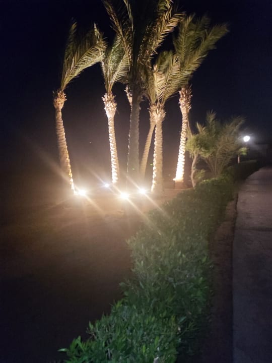 Gartenanlage Hurghada Long Beach Resort