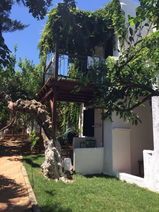 Außenansicht Kalypso Hotel