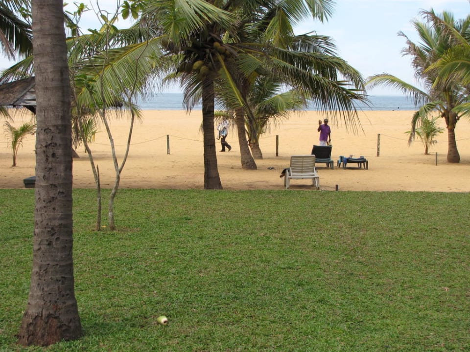 Blick von der Terrasse Goldi Sands Hotel