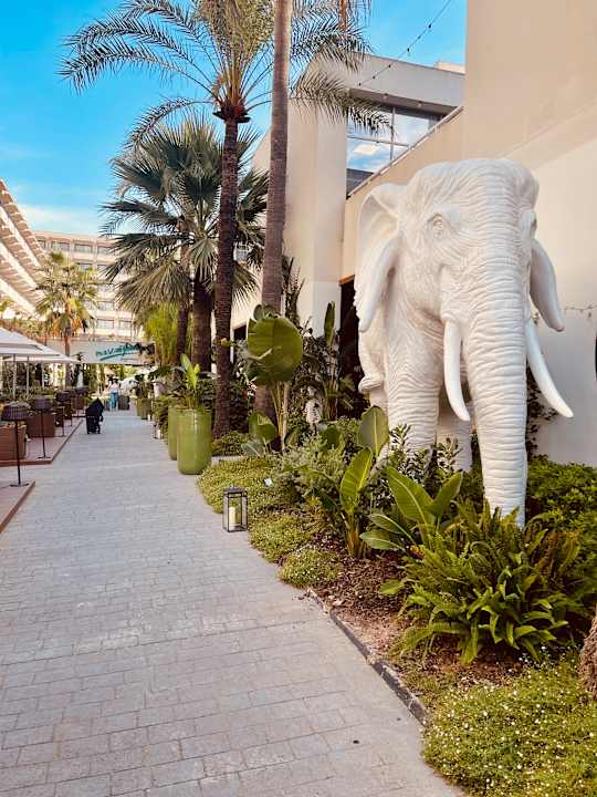 Gartenanlage INNSiDE Alcudia