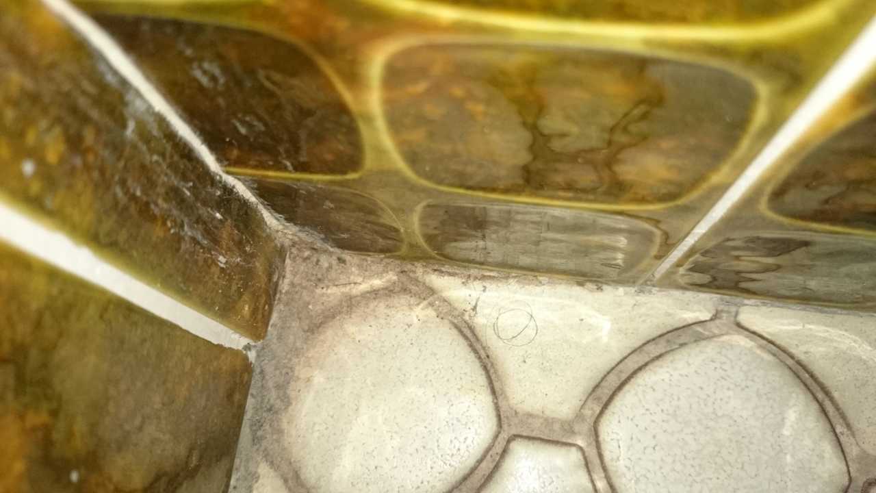 Bad Gasthof-Hotel Krone