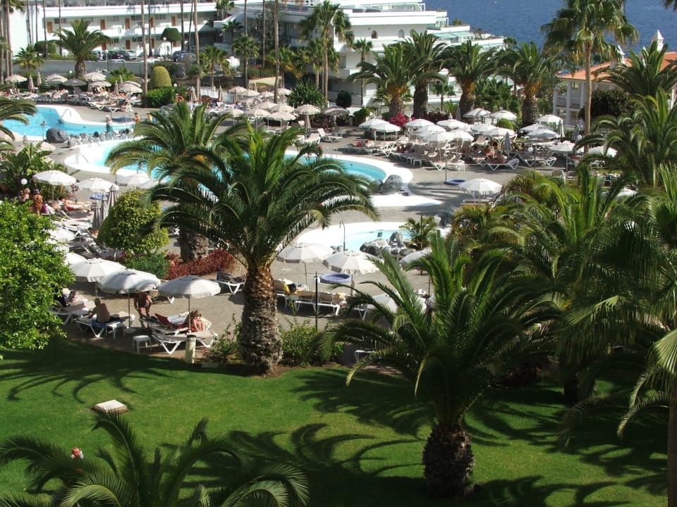 Ausblick vom Zimmer Hotel Riu Arecas - Adults only