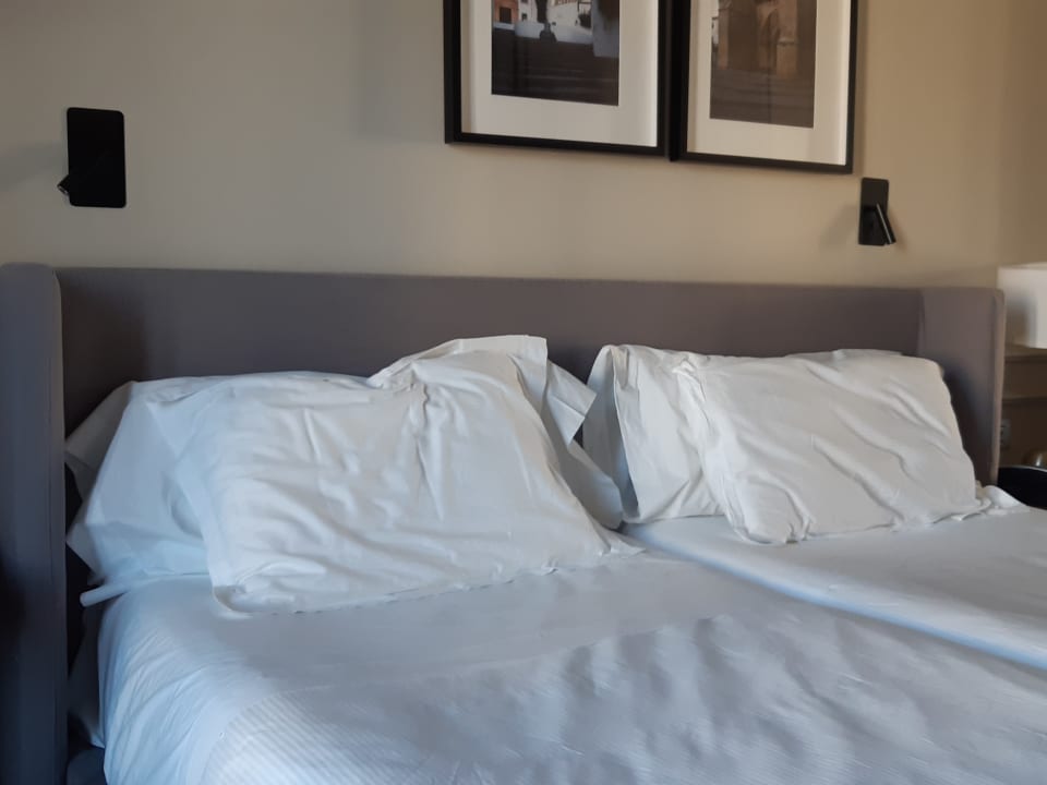 Zimmer H10 Palacio Colomera