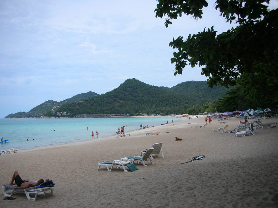 Ruhiger Hotelstrand Hotel Samui First House