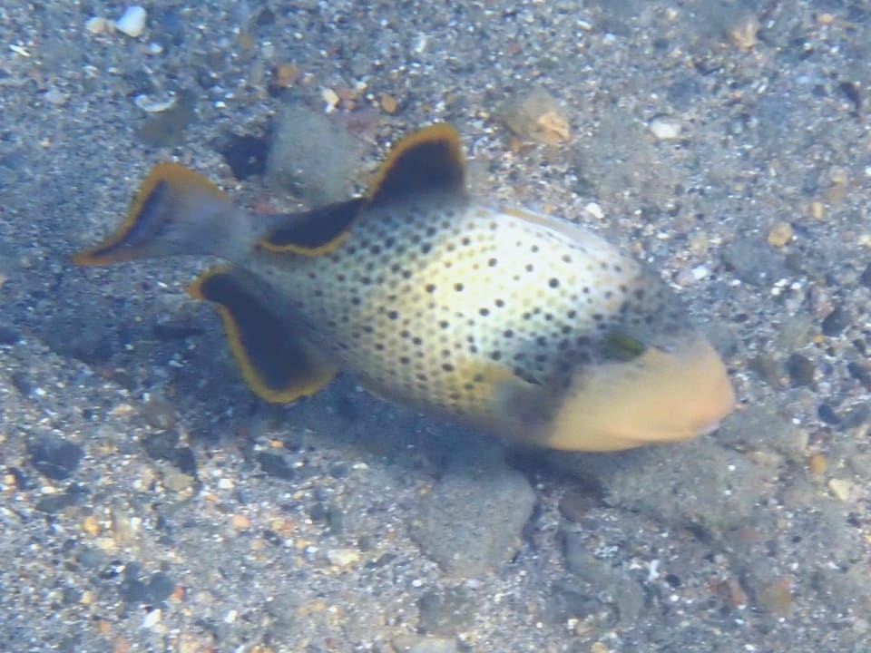 Strand Three Corners Equinox Beach Resort