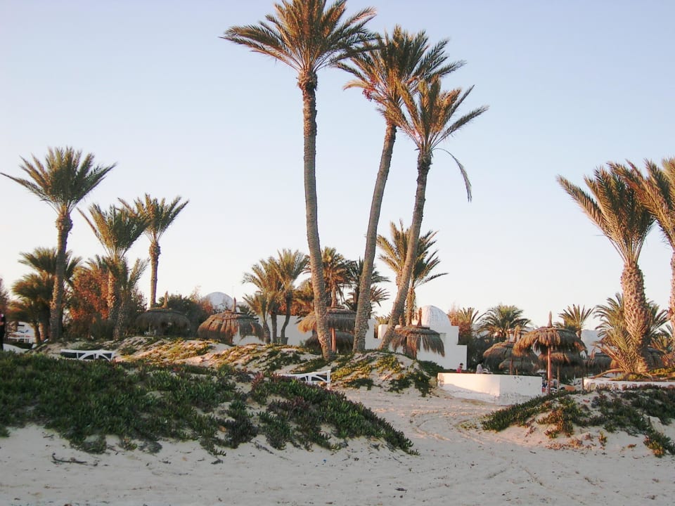 Strand Hotel El Mouradi Djerba Menzel