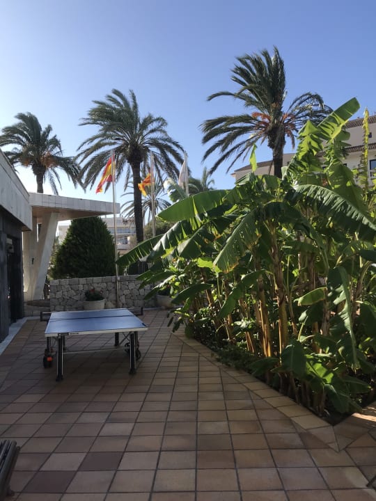 Sport & Freizeit Hotel Serrano Palace