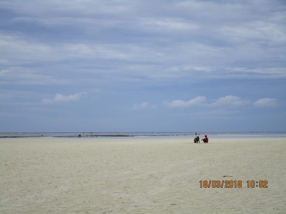 Strand Neptune Pwani Beach Resort & Spa