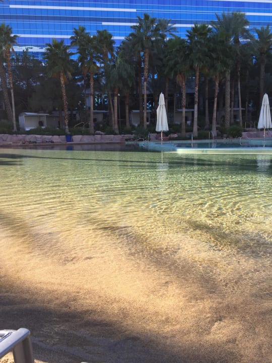 Pool Virgin Hotels Las Vegas, Curio Collection by Hilton