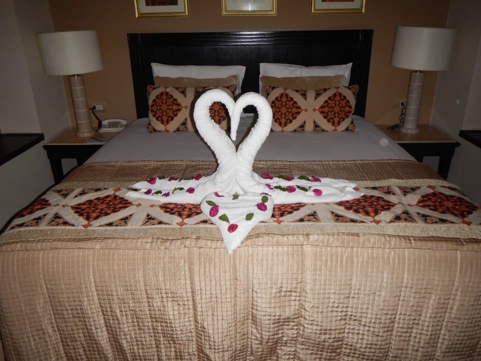 Superior Zimmer Steigenberger Coraya Beach - Adults only