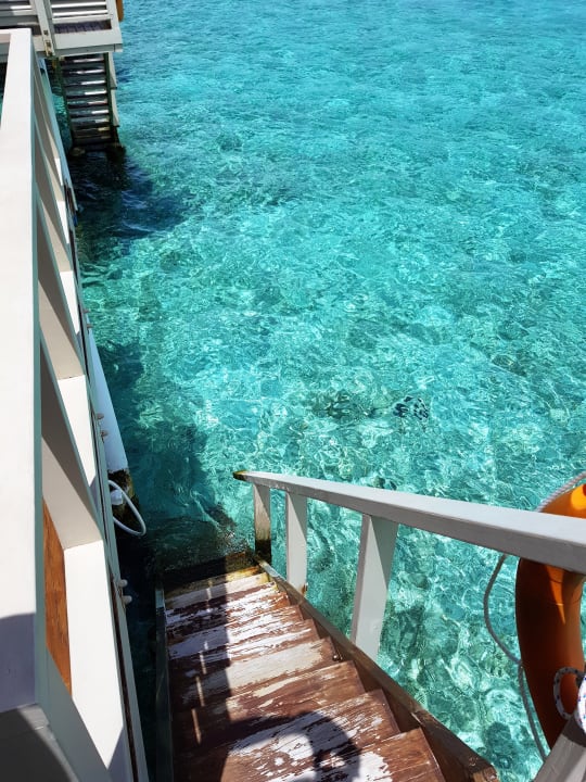 Zimmer Summer Island Maldives