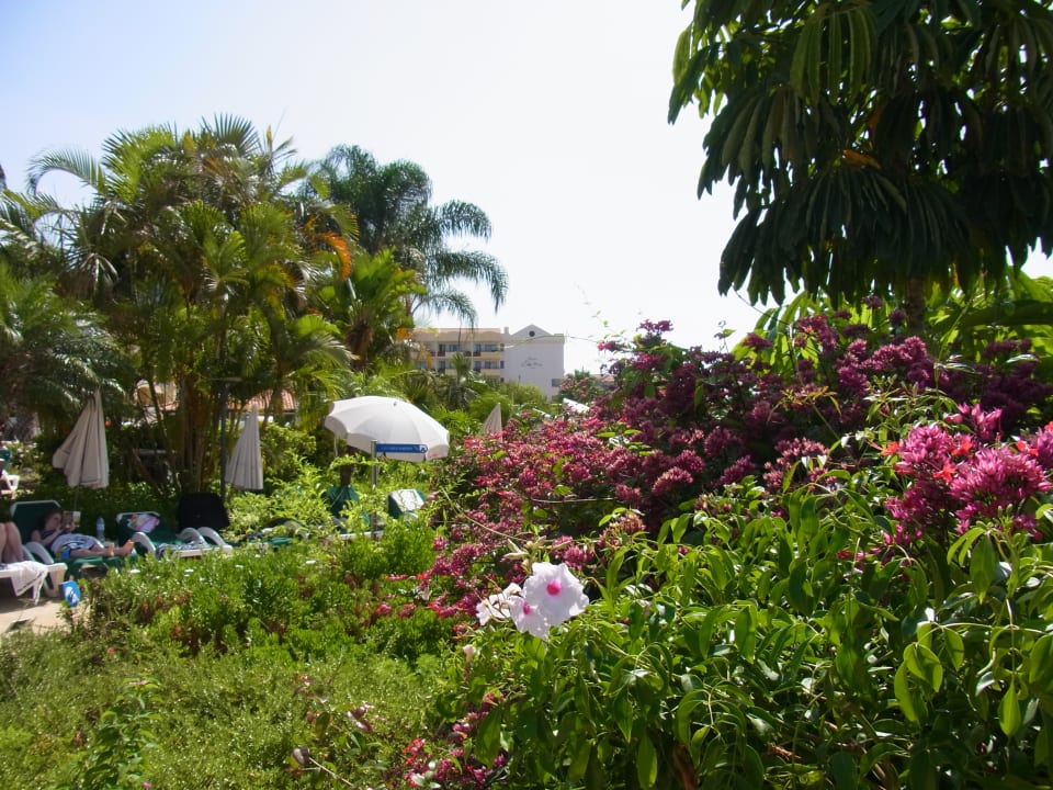 Gartenanlage Suite Hotel Eden Mar - PortoBay