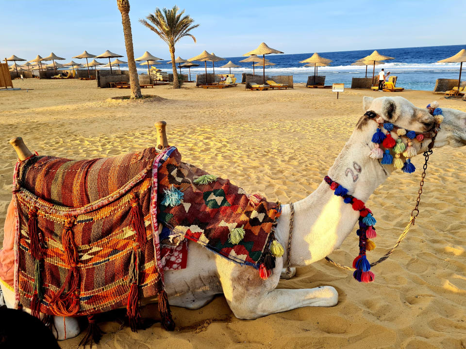 Strand Three Corners Sea Beach Resort