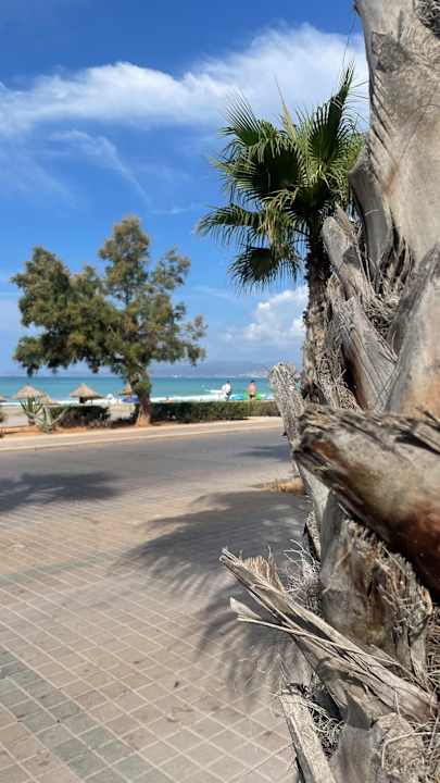 Ausblick allsun Hotel Marena Beach