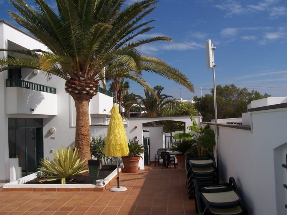 Eingangsbereich Apartamentos La Tegala