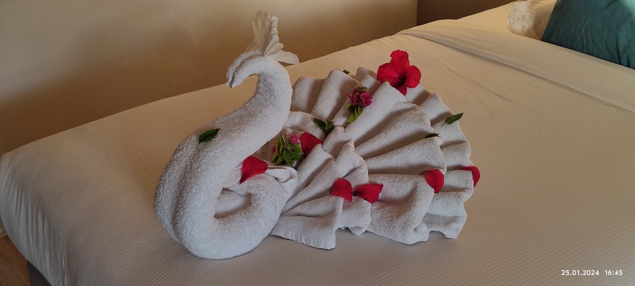 Zimmer Seven Seas Jolie Bay Resort