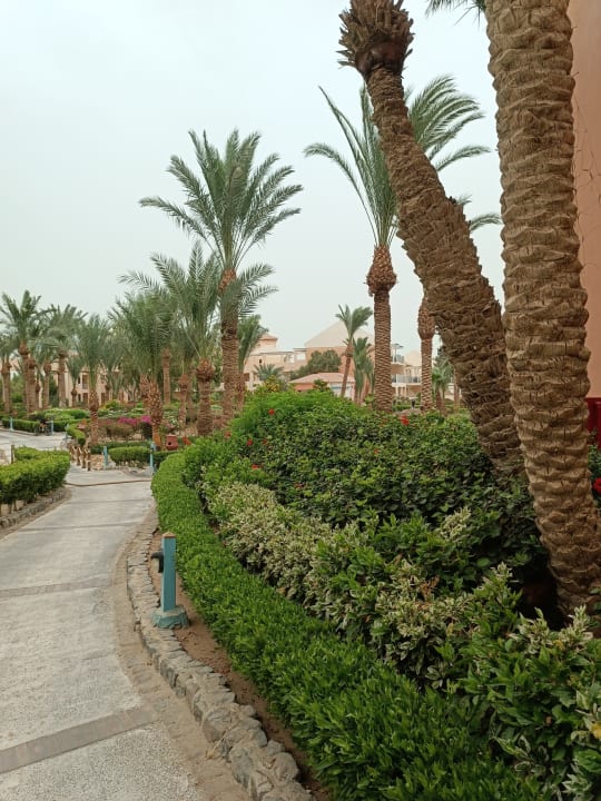 Gartenanlage Mövenpick Resort & Spa El Gouna