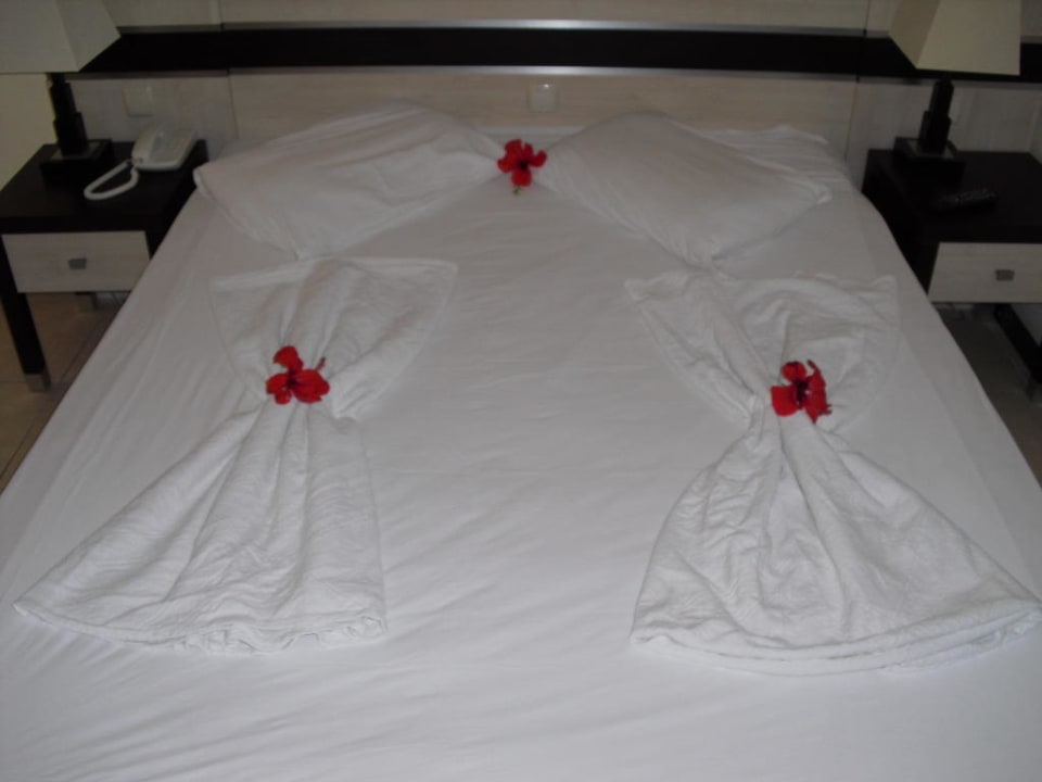 Das passiert bei Trinkgeld  Hotel Orfeus Park