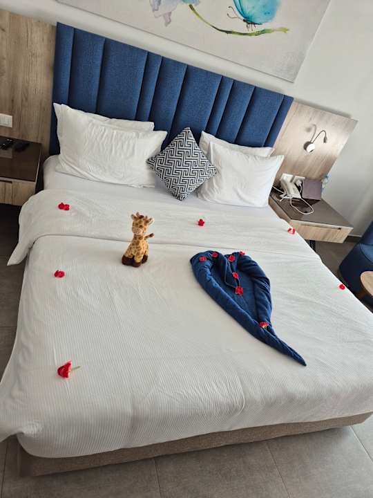 Zimmer Pickalbatros Blu Spa Resort