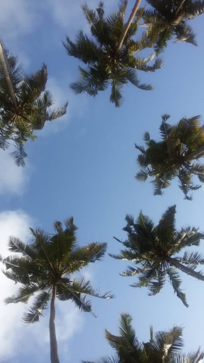 Blick in den Himmel Ankobra Beach Resort