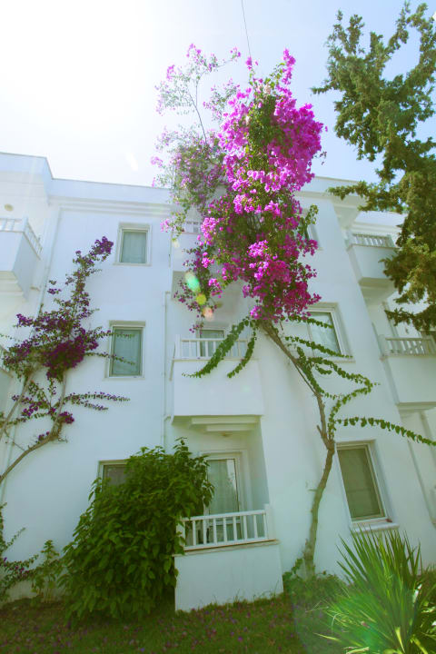 Außenansicht Hotel Bendis Beach