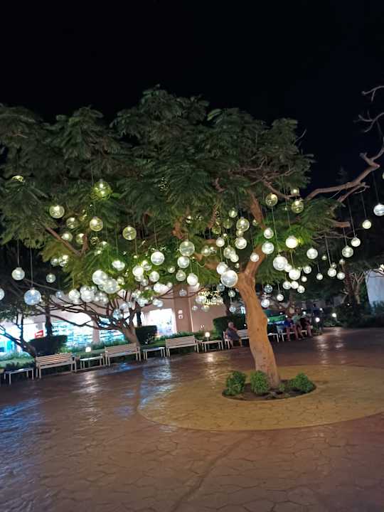 Außenansicht Desert Rose