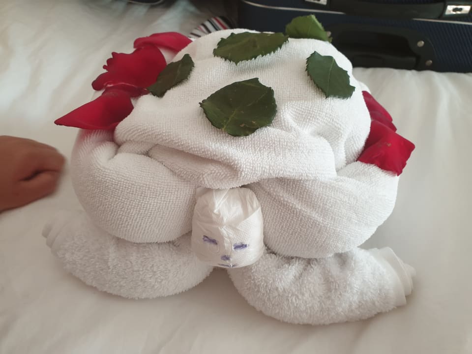 Zimmer Saphir Resort & Spa