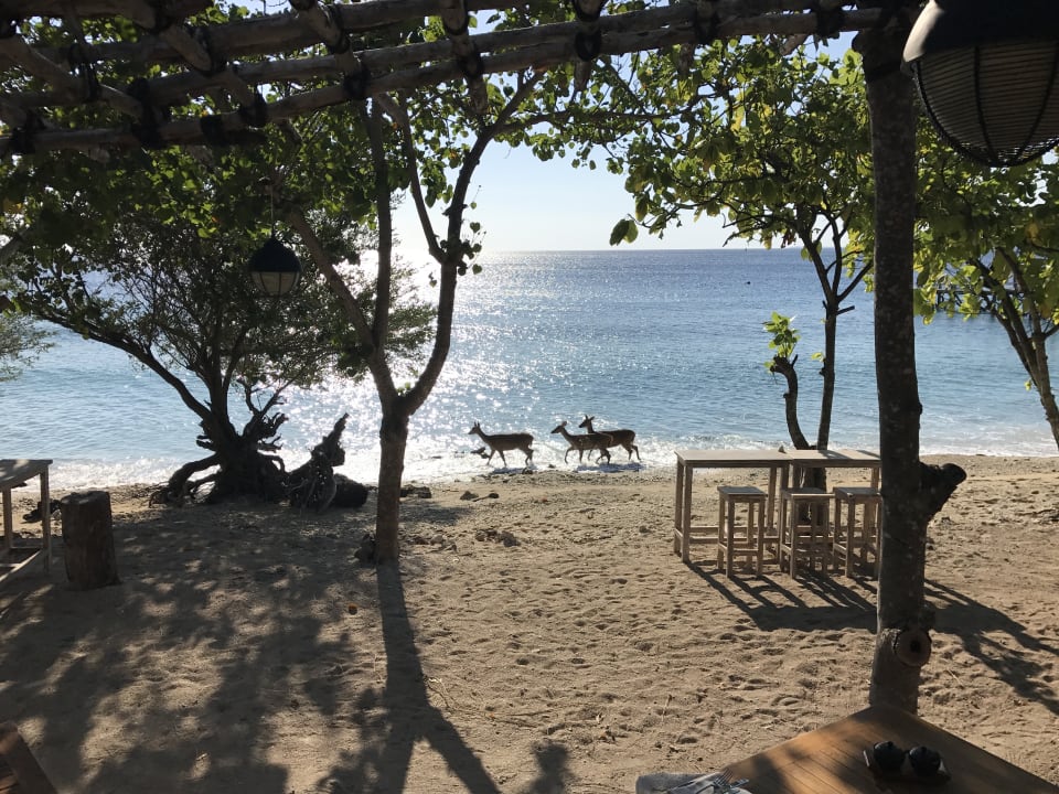 Außenansicht NusaBay Menjangan