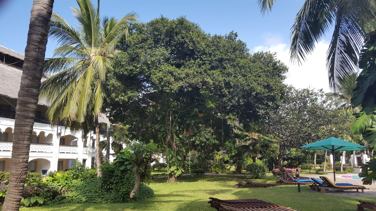 Gartenanlage Hotel Southern Palms Beach Resort