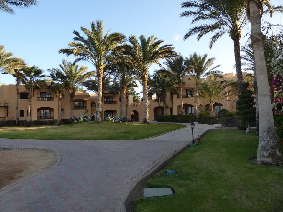 Gartenanlage Steigenberger Coraya Beach - Adults only