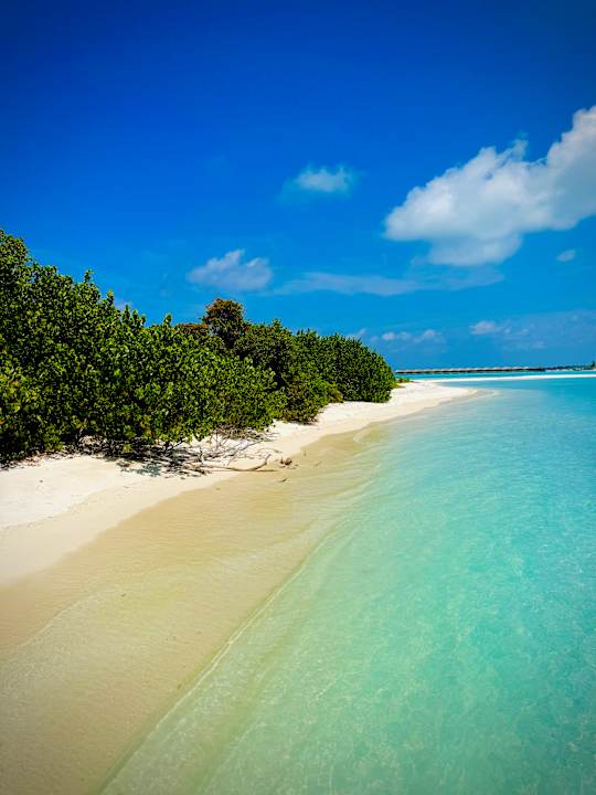 Strand Jawakara Islands Maldives