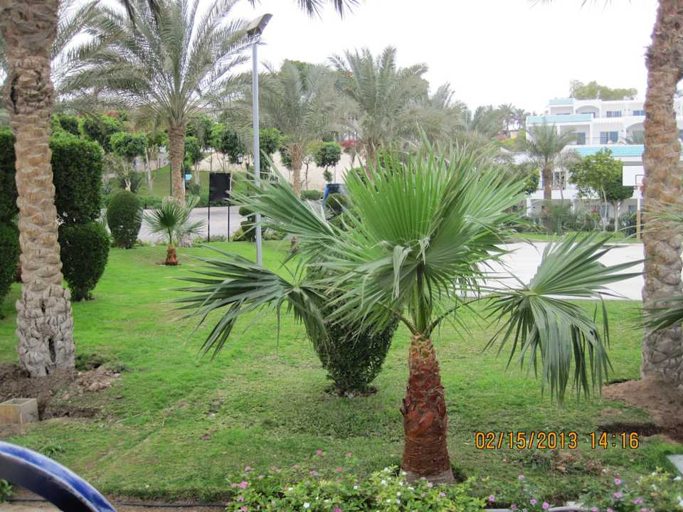 Schöner Garten Sultan Gardens Resort