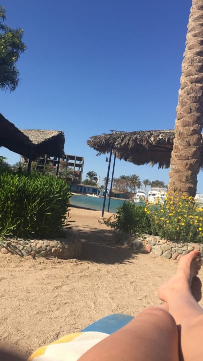 Strand Regina Resort and Aqua Park Hurghada