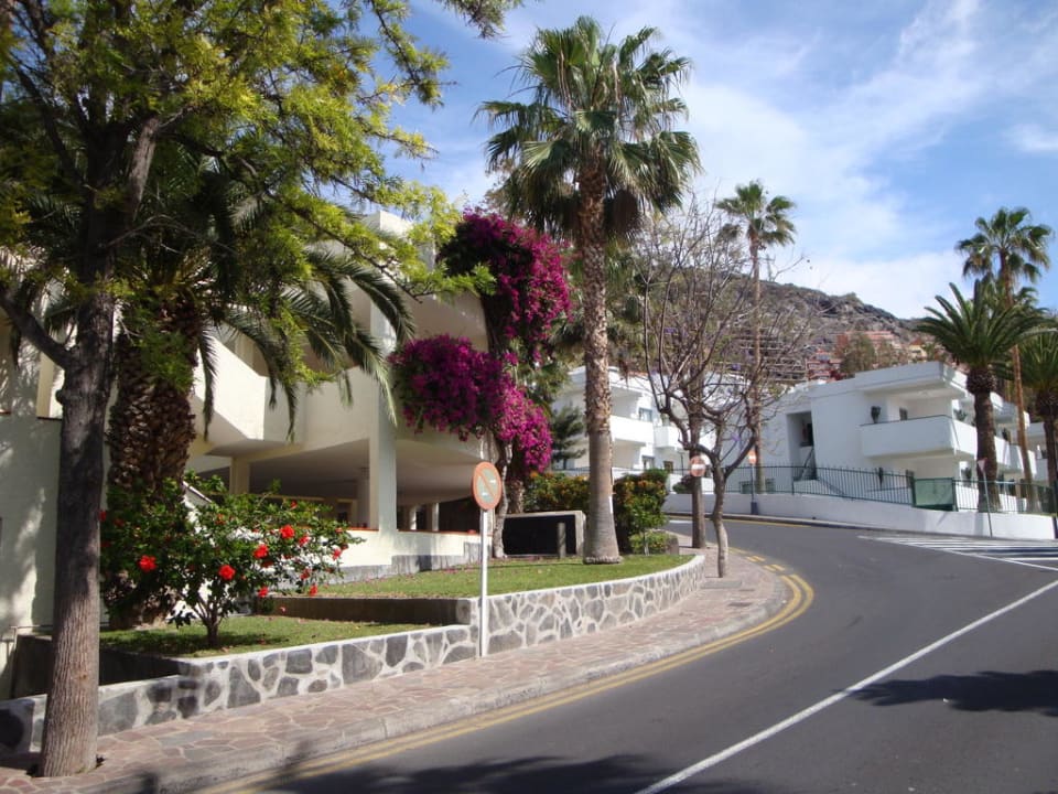 Gepflegtes Gegenüber  Adrián Hoteles Colón Guanahaní - Adults only