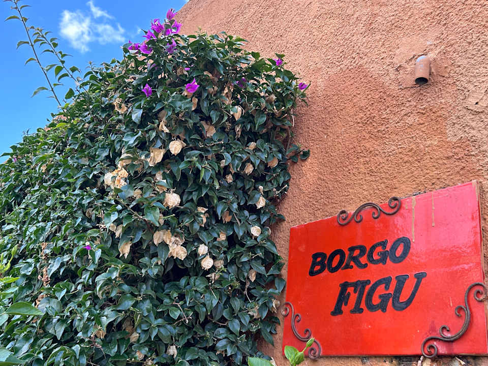 Gartenanlage TUI BLUE Budoni